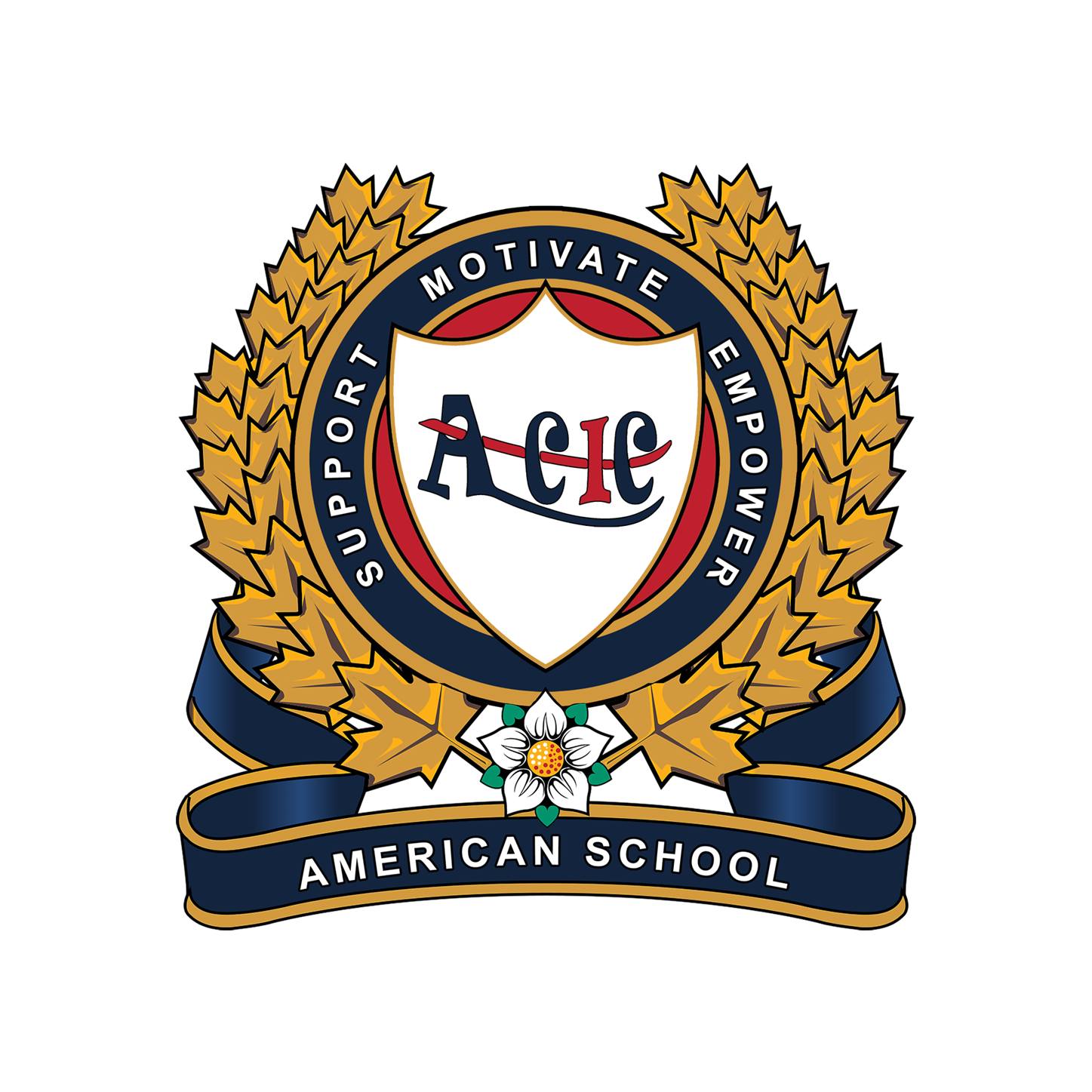 ACIC - American School
